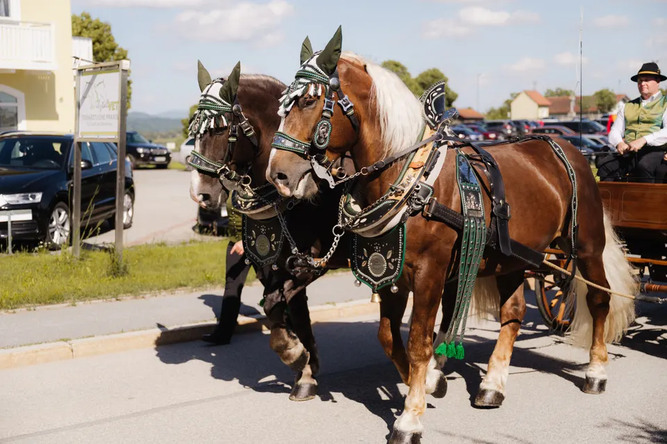 Gründungsfest FF Niederperlesreut - Samstag – Foto 145 von 730