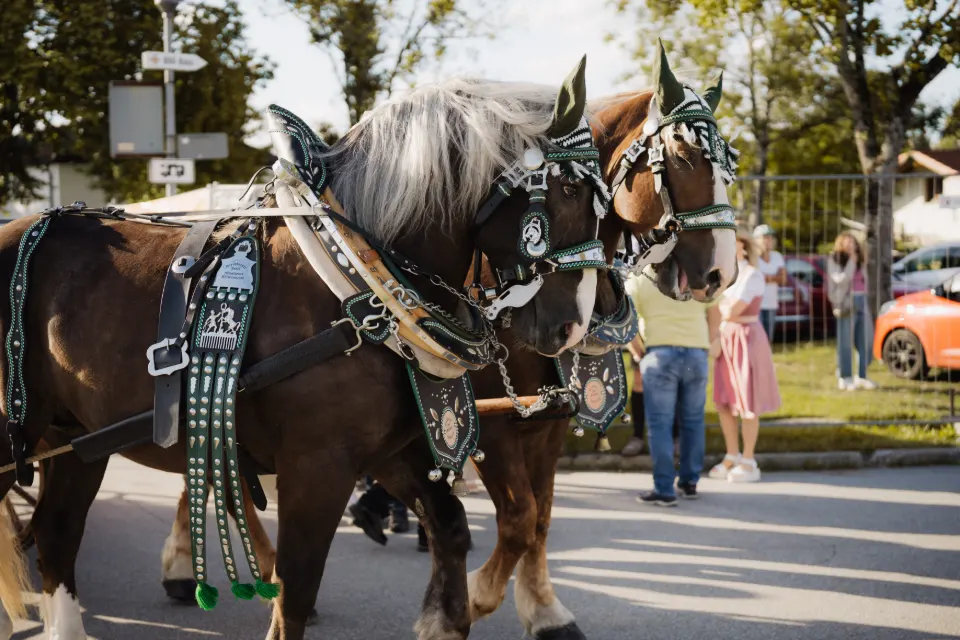 Gründungsfest FF Niederperlesreut - Samstag – Foto 528 von 730