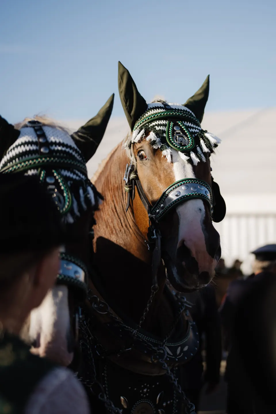 Gründungsfest FF Niederperlesreut - Samstag – Foto 539 von 730