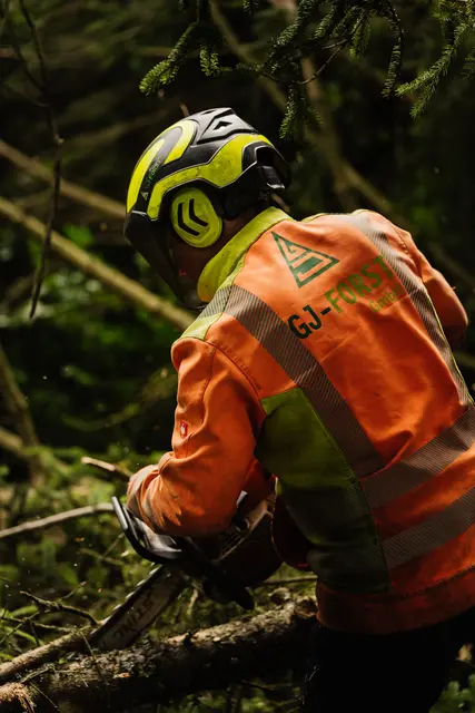 Mitarbeiter mit Kettensäge am Baum