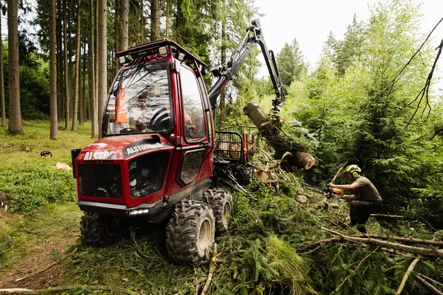 Mitarbeiter in Warnkleidung im Wald