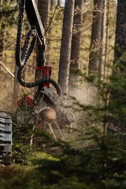 Kettensägenarbeit mit Wasserspray